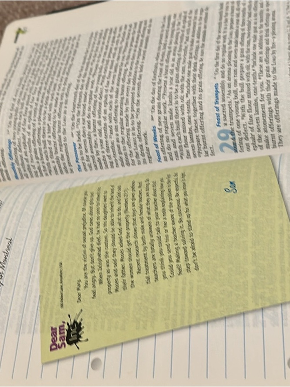 Teen Study Bible in Navy bonded Leather - Picture 4 of 8
